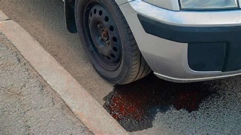 Why is my car leaking oil. Things To Know About Why is my car leaking oil. 